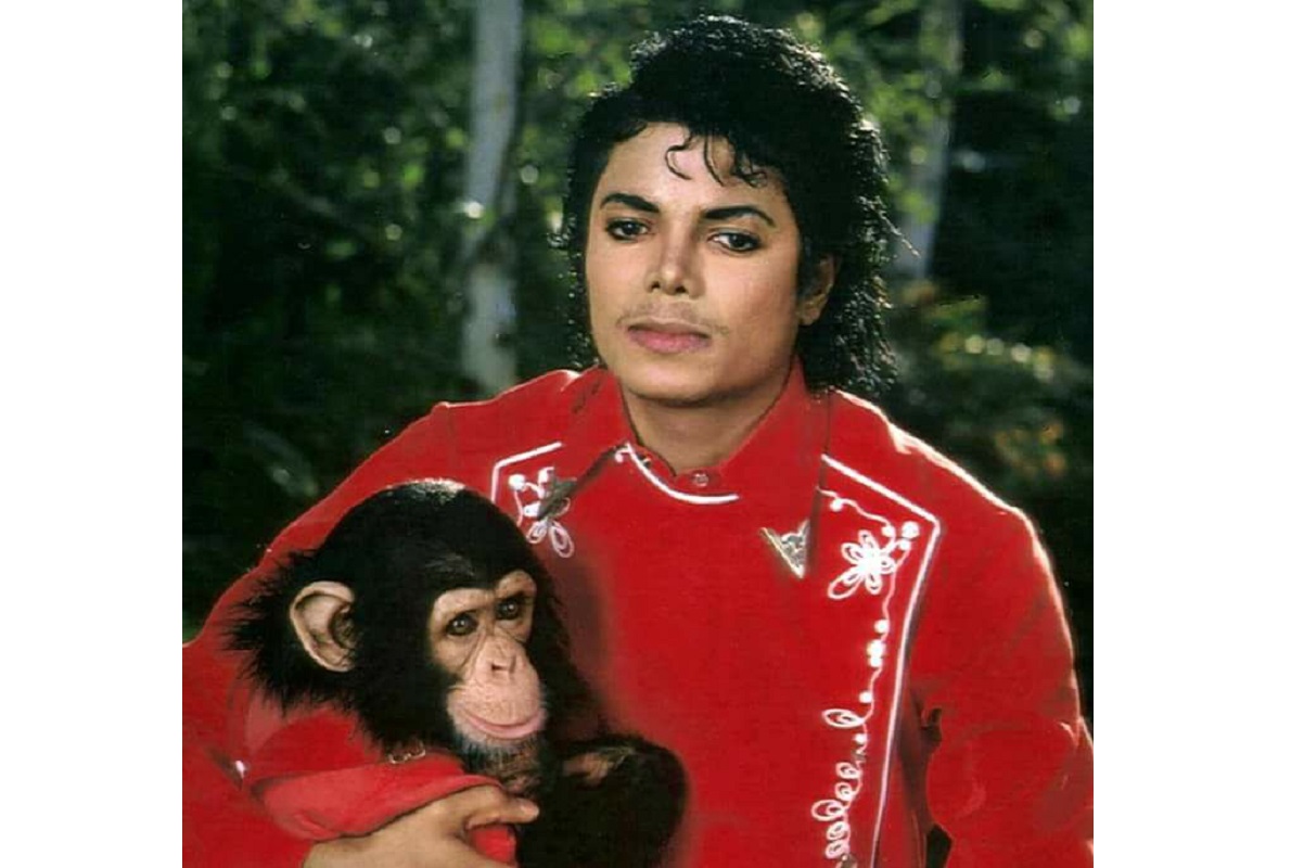 Bubbles: onde está e como vive o chimpanzé amigo de Michael Jackson